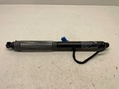 Tailgate/trunk strut/damper