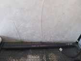 Tailgate/trunk strut/damper