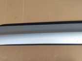 Front door trim (molding)