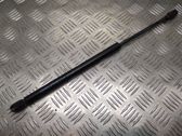 Tailgate/trunk strut/damper