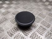 Panel speaker