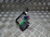 Other wiring loom