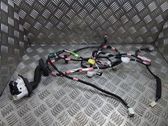 Cableado de puerta delantera