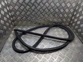 Rear door rubber seal (on body)