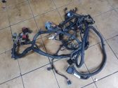 Engine installation wiring loom