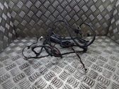 Front door wiring loom