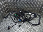 Other wiring loom