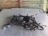 Engine installation wiring loom