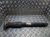 Rear shock absorber/damper