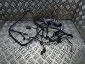 Front door wiring loom