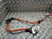Other wiring loom