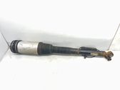 Rear shock absorber/damper