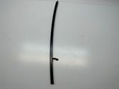 Rear door glass trim molding