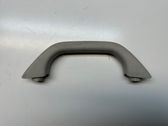 Front interior roof grab handle