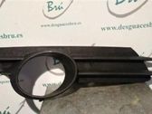 Moldura/rejilla de la luz antiniebla delantera