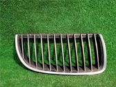 Front bumper lower grill