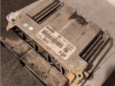 Engine control unit/module ECU