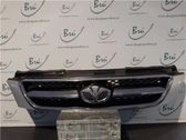 Ziergitter Motorhaube