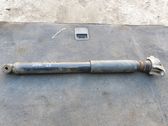 Stoßdämpfer hinten