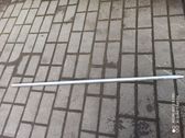 Listón embellecedor de la ventana de la puerta delantera