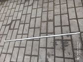Listón embellecedor de la ventana de la puerta delantera
