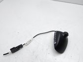 Radion antenni