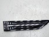 Lusteinlass Gitter Kotflügel