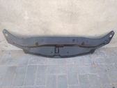 Moldura embellecedora del gancho del capó/tapa del motor