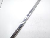 Front door trim (molding)