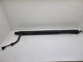 Tailgate/trunk strut/damper
