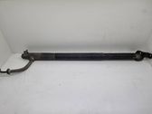 Tailgate/trunk strut/damper