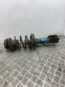 Front shock absorber with coil spring