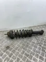 Rear shock absorber with coil spring