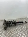 Front shock absorber with coil spring