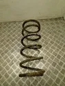 Front coil spring