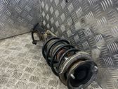 Front shock absorber with coil spring