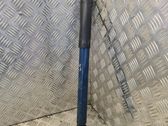 Rear shock absorber/damper