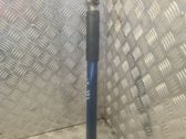 Rear shock absorber/damper