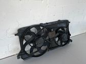 Electric radiator cooling fan