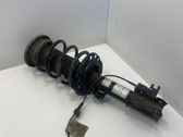 Amortiguador delantero con muelle espiral