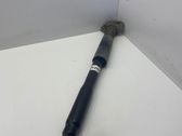Rear shock absorber/damper