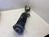 Front shock absorber with coil spring