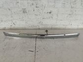 Trunk door license plate light bar