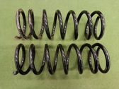 Rear coil spring