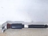 Rear shock absorber/damper