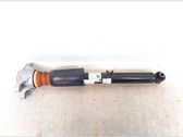 Rear shock absorber/damper