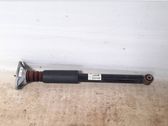 Stoßdämpfer hinten
