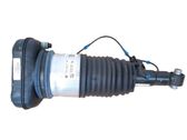 Amortisseur de suspension pneumatique