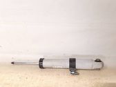 Rear shock absorber/damper