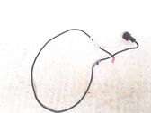 Other wiring loom